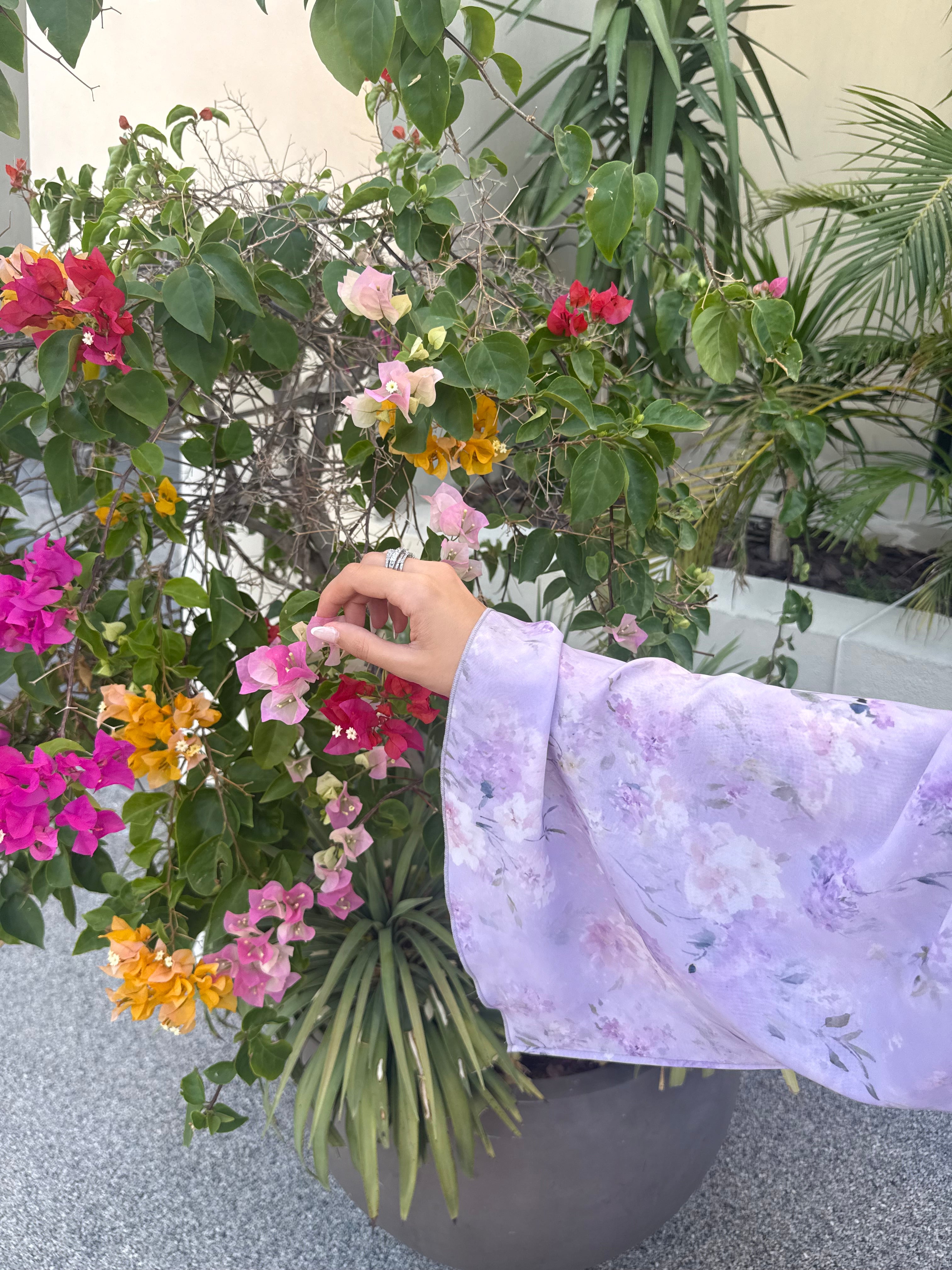 Lilac Garden